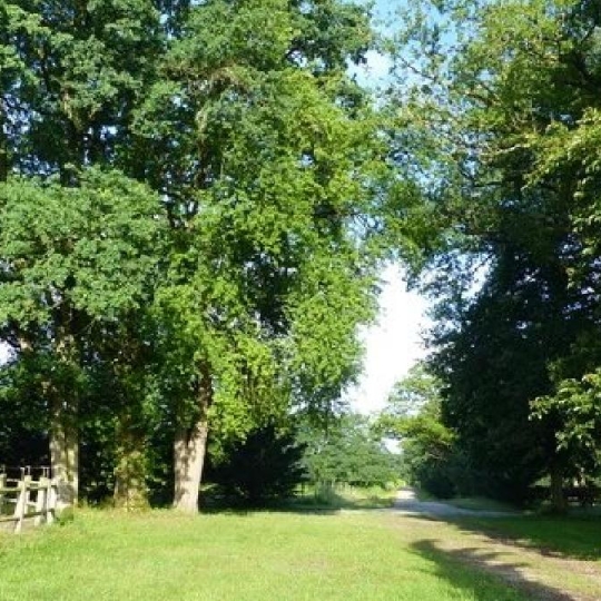  NAT'IMMO : House | VILLEMURLIN (45600) | 240 m2 | 1 100 000 € 