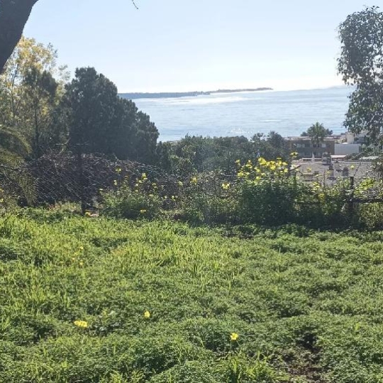  NAT'IMMO : Apartment | CANNES (06400) | 25 m2 | 217 000 € 
