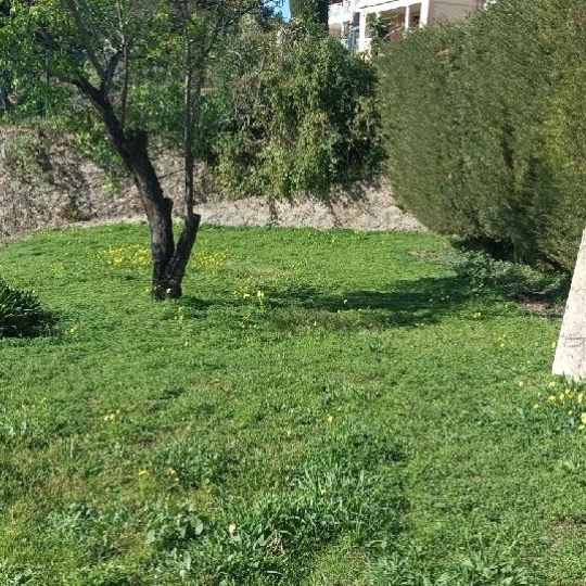  NAT'IMMO : Apartment | CANNES (06400) | 25 m2 | 217 000 € 