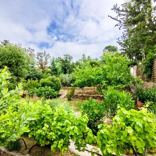  NAT'IMMO : Terrain | VIDAUBAN (83550) | 705 m2 | 100 000 € 