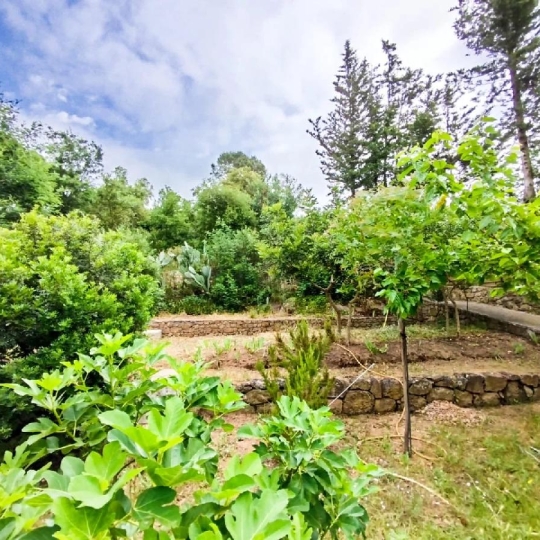  NAT'IMMO : Terrain | VIDAUBAN (83550) | 705 m2 | 100 000 € 