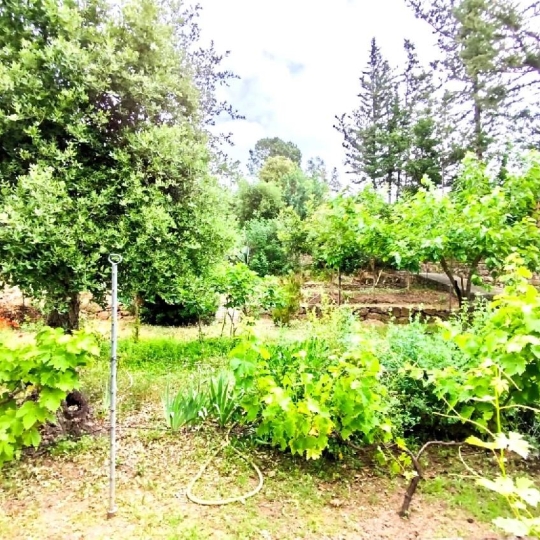  NAT'IMMO : Terrain | VIDAUBAN (83550) | 705 m2 | 100 000 € 