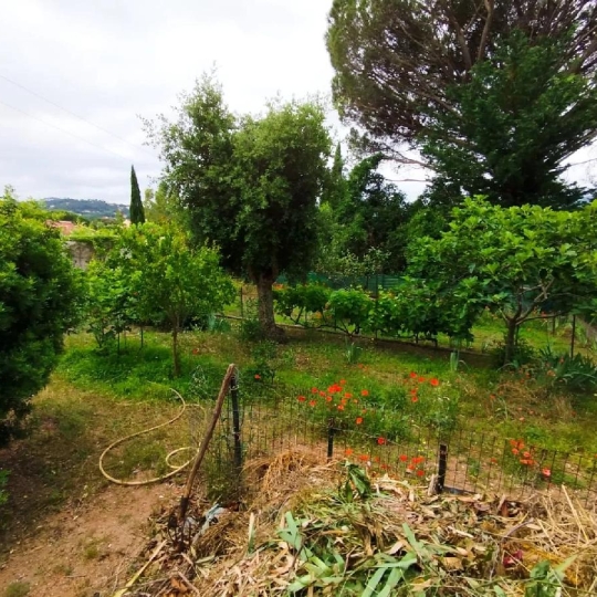  NAT'IMMO : Terrain | VIDAUBAN (83550) | 705 m2 | 100 000 € 