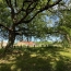  NAT'IMMO : House | VILLEMURLIN (45600) | 240 m2 | 1 100 000 € 