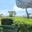  NAT'IMMO : Appartement | CANNES (06150) | 44 m2 | 370 000 € 