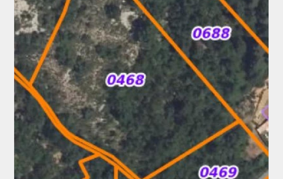 NAT'IMMO : Terrain | BRIANCONNET (06850) | 6 150 m2 | 65 000 € 