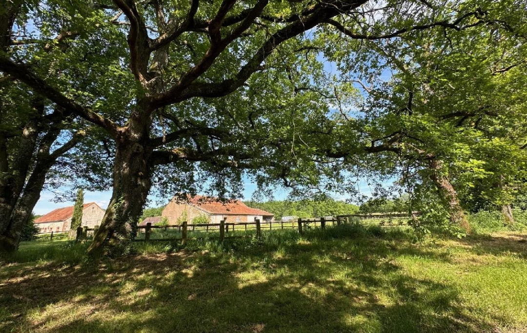 NAT'IMMO : House | VILLEMURLIN (45600) | 240 m2 | 1 100 000 € 