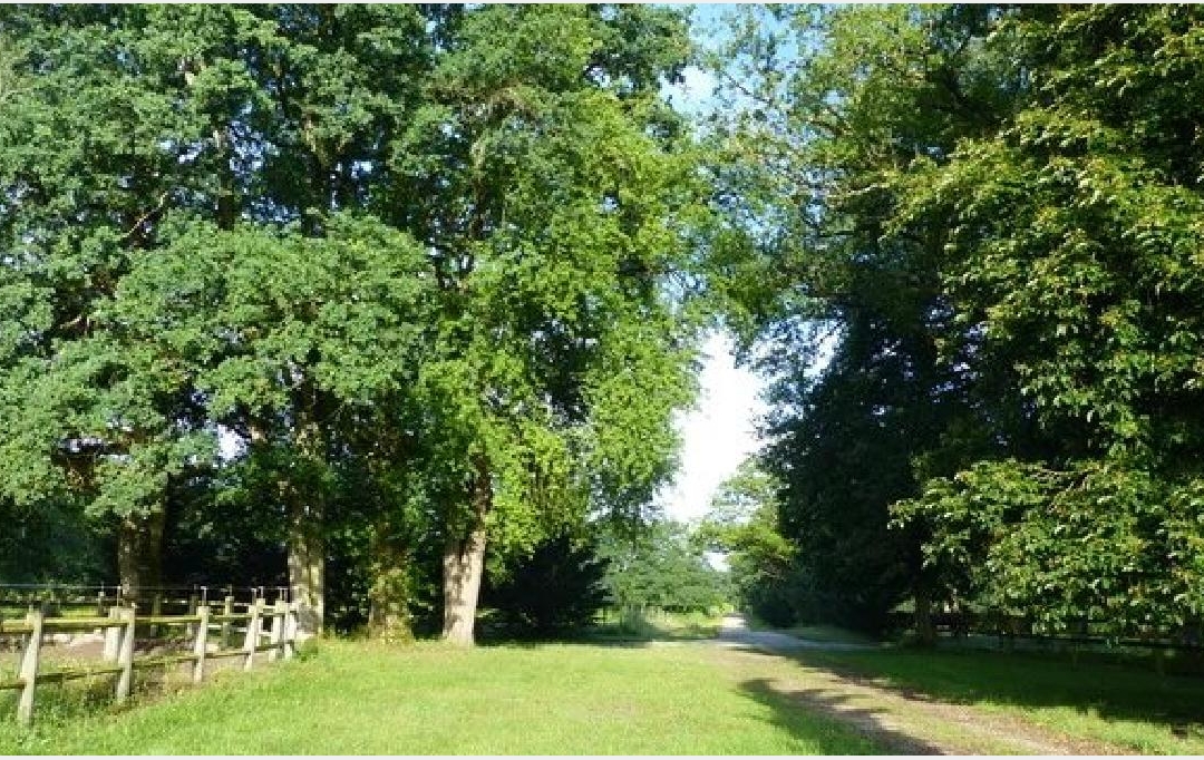 NAT'IMMO : House | VILLEMURLIN (45600) | 240 m2 | 1 100 000 € 