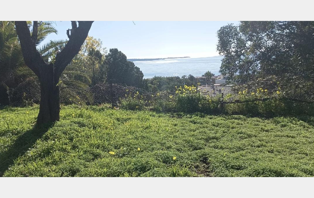 NAT'IMMO : Apartment | CANNES (06400) | 25 m2 | 217 000 € 