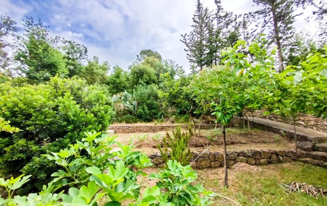 NAT'IMMO : Terrain | VIDAUBAN (83550) | 705 m2 | 100 000 € 