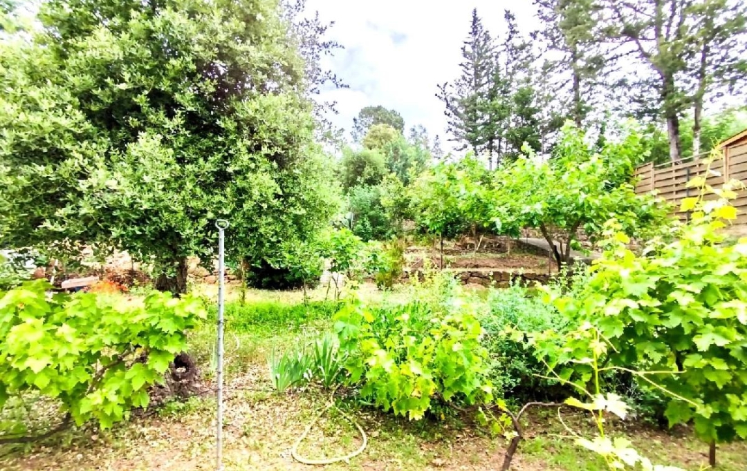 NAT'IMMO : Terrain | VIDAUBAN (83550) | 705 m2 | 100 000 € 