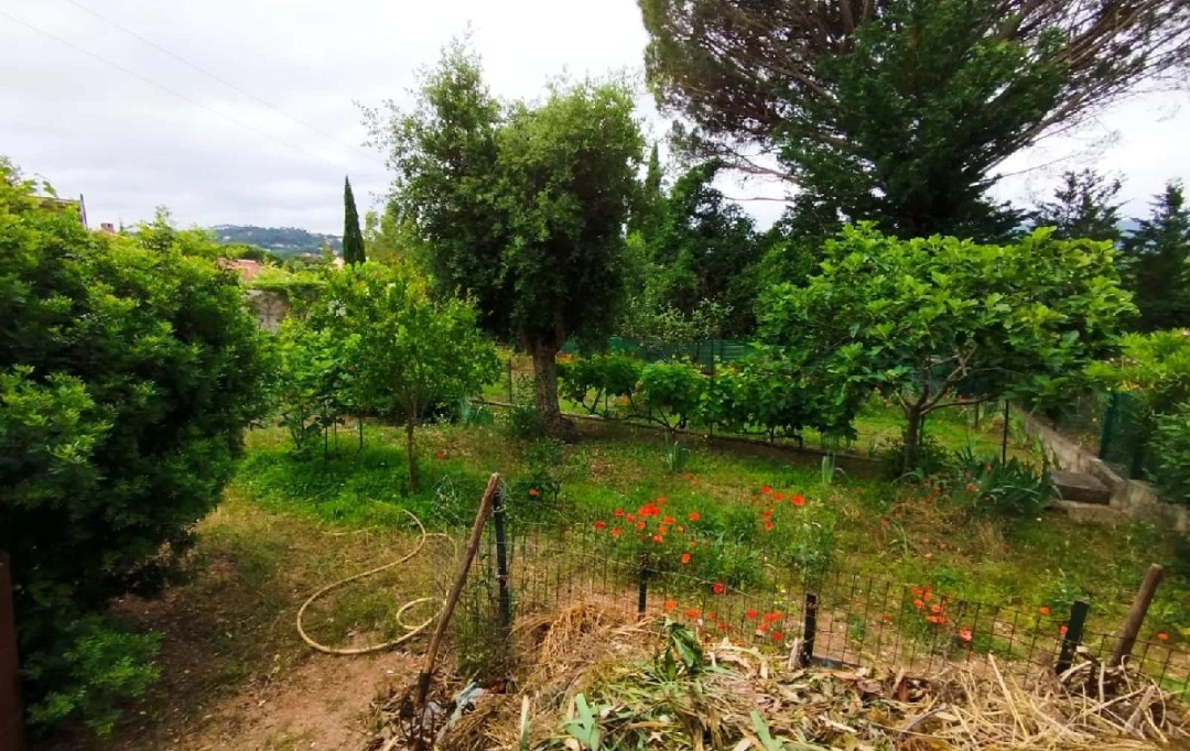 NAT'IMMO : Terrain | VIDAUBAN (83550) | 705 m2 | 100 000 € 
