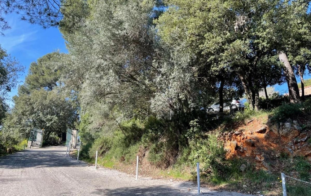 NAT'IMMO : House | VALLAURIS (06220) | 34 m2 | 249 000 € 