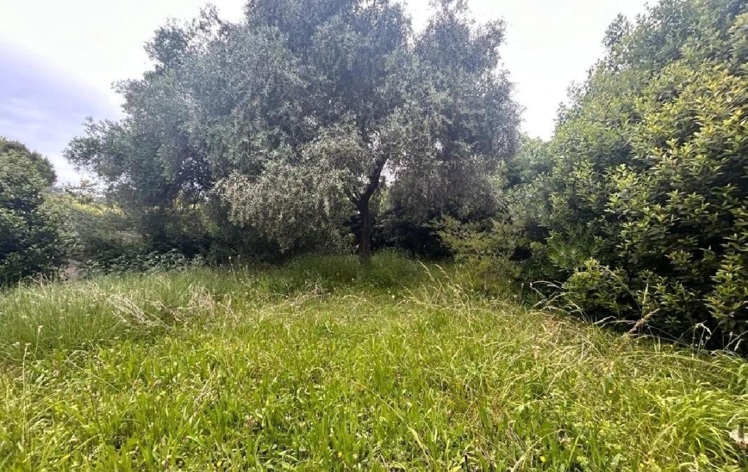 NAT'IMMO : House | MOUGINS (06250) | 66 m2 | 339 000 € 