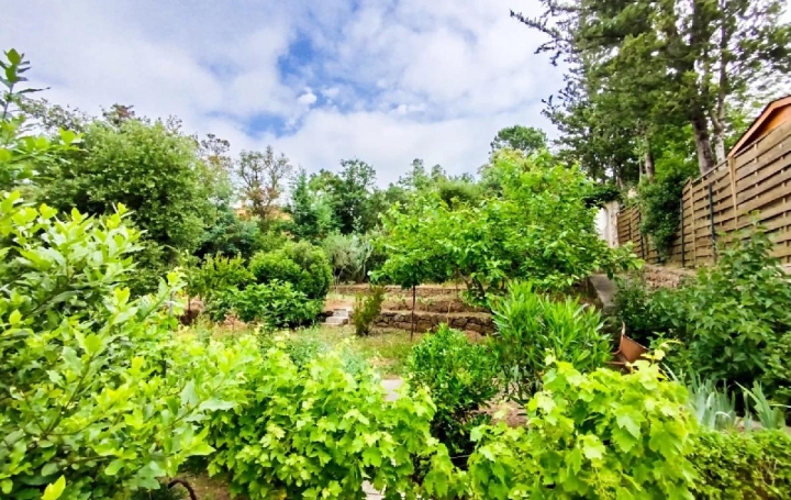  NAT'IMMO Terrain | VIDAUBAN (83550) | 705 m2 | 100 000 € 
